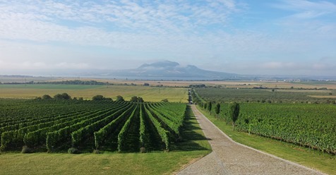 A recommendation for the 5 most beautiful wineries according to Forbes